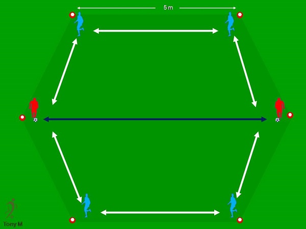 Ca001-Basculaciones en exagono.