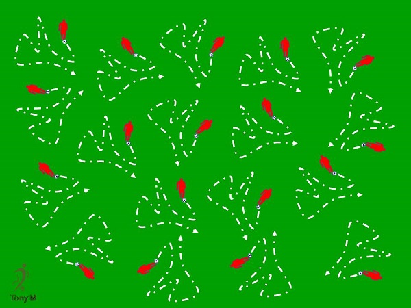 Ca017-Tácnica individual con balón.