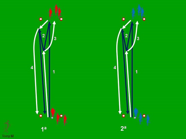 Ca029-Dobles paredes en fila.