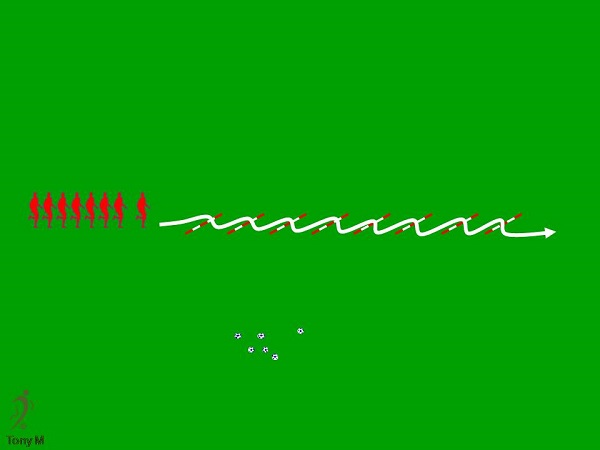 Ca078-Fuerza con picas