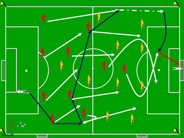 Sj001--Movimientos y Evoluciones F8