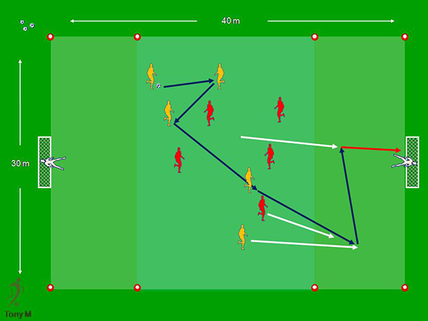 Tc036-5x5+2 Partido chinos