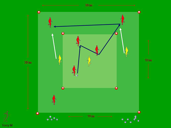 Tc101-7x7, Doble cuadro