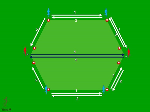 Ti001--Defensas basculación en exágono