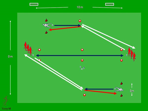 Ti120-Movilidad articular-Rem. de cab.-tiro